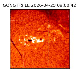 gong - 2026-04-25T09:00:42