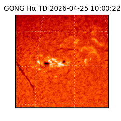 gong - 2026-04-25T10:00:22