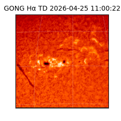 gong - 2026-04-25T11:00:22