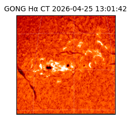 gong - 2026-04-25T13:01:42