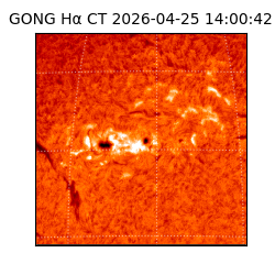 gong - 2026-04-25T14:00:42