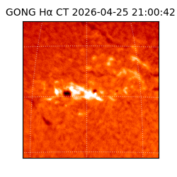 gong - 2026-04-25T21:00:42