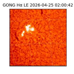 gong - 2026-04-25T02:00:42