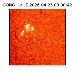 gong - 2026-04-25T03:00:42