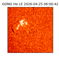 gong - 2026-04-25T06:00:42