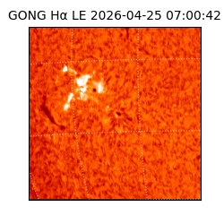 gong - 2026-04-25T07:00:42