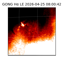 gong - 2026-04-25T08:00:42