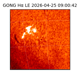 gong - 2026-04-25T09:00:42