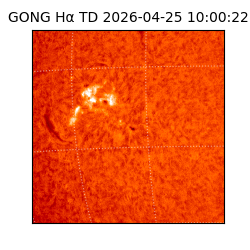 gong - 2026-04-25T10:00:22