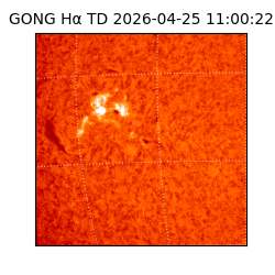 gong - 2026-04-25T11:00:22