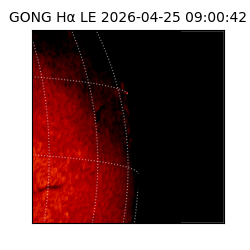 gong - 2026-04-25T09:00:42