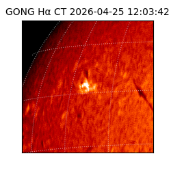 gong - 2026-04-25T12:03:42