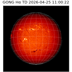 gong - 2026-04-25T11:00:22