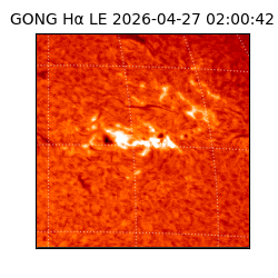 gong - 2026-04-27T02:00:42