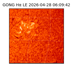 gong - 2026-04-28T06:09:42