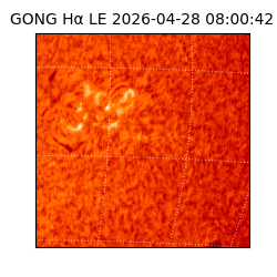 gong - 2026-04-28T08:00:42