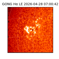gong - 2026-04-28T07:00:42