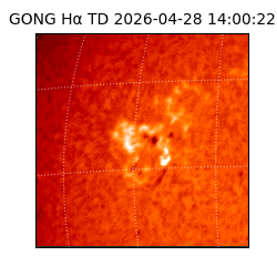 gong - 2026-04-28T14:00:22