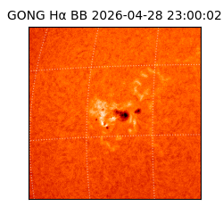 gong - 2026-04-28T23:00:02