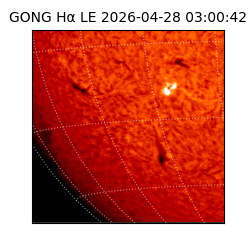 gong - 2026-04-28T03:00:42