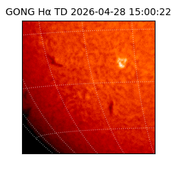 gong - 2026-04-28T15:00:22