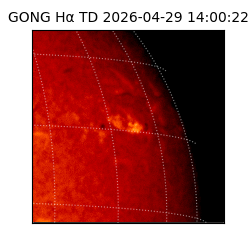 gong - 2026-04-29T14:00:22