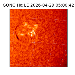 gong - 2026-04-29T05:00:42