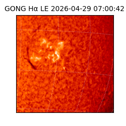 gong - 2026-04-29T07:00:42