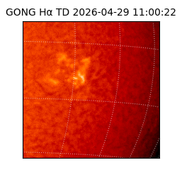 gong - 2026-04-29T11:00:22