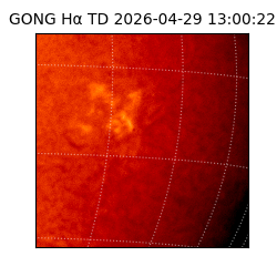 gong - 2026-04-29T13:00:22