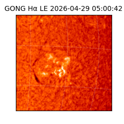gong - 2026-04-29T05:00:42