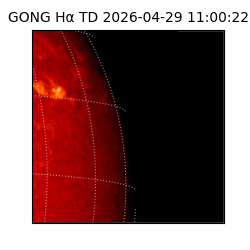 gong - 2026-04-29T11:00:22