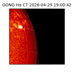 gong - 2026-04-29T19:00:42