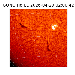 gong - 2026-04-29T02:00:42