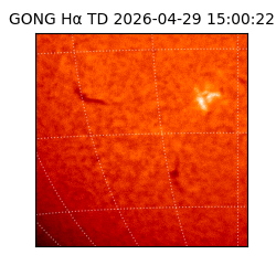 gong - 2026-04-29T15:00:22