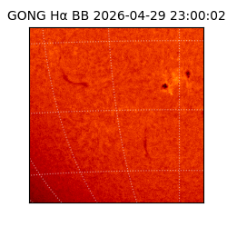 gong - 2026-04-29T23:00:02