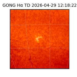 gong - 2026-04-29T12:18:22