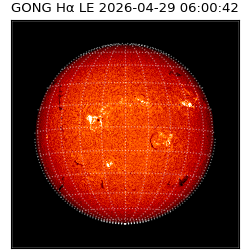 gong - 2026-04-29T06:00:42