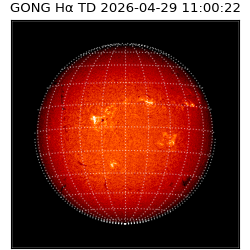 gong - 2026-04-29T11:00:22
