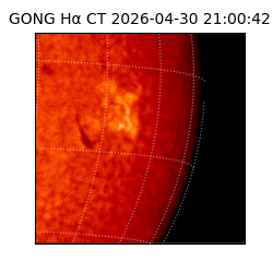 gong - 2026-04-30T21:00:42