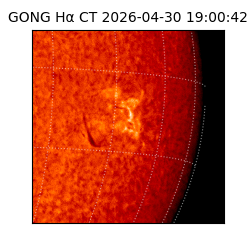 gong - 2026-04-30T19:00:42