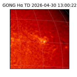 gong - 2026-04-30T13:00:22