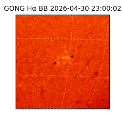 gong - 2026-04-30T23:00:02