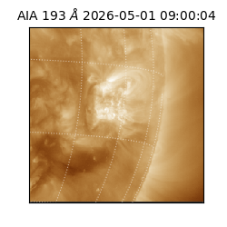 saia - 2026-05-01T09:00:04.842000