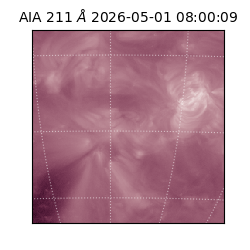 saia - 2026-05-01T08:00:09.629000
