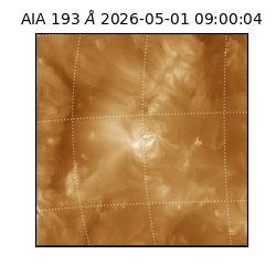 saia - 2026-05-01T09:00:04.842000