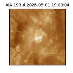 saia - 2026-05-01T19:00:04.842000