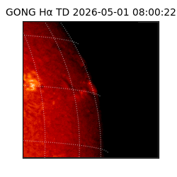 gong - 2026-05-01T08:00:22