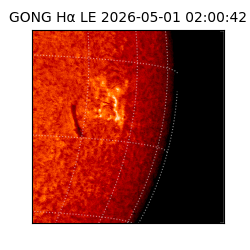 gong - 2026-05-01T02:00:42