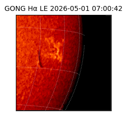 gong - 2026-05-01T07:00:42